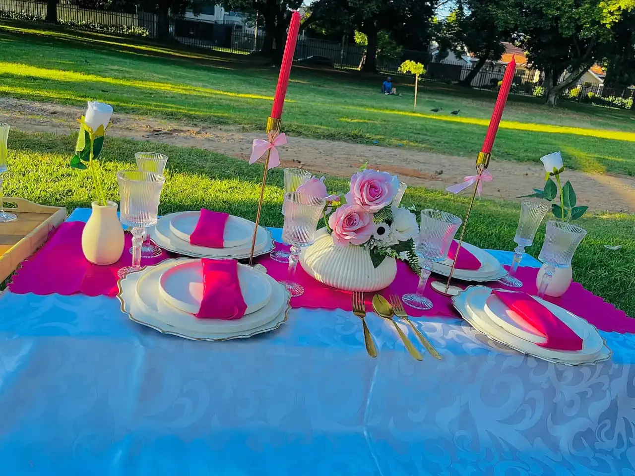Elegant Picnic setup with custom colors